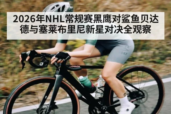 2026年NHL常规赛黑鹰对鲨鱼贝达德与塞莱布里尼新星对决全观察